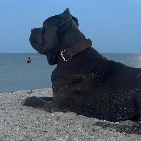 аквамарин アパート *