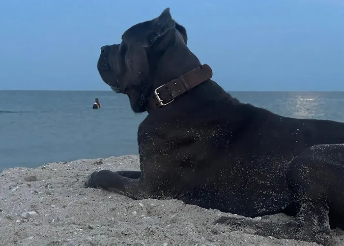 аквамарин 公寓 *