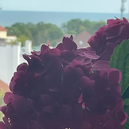 аквамарин Odessa