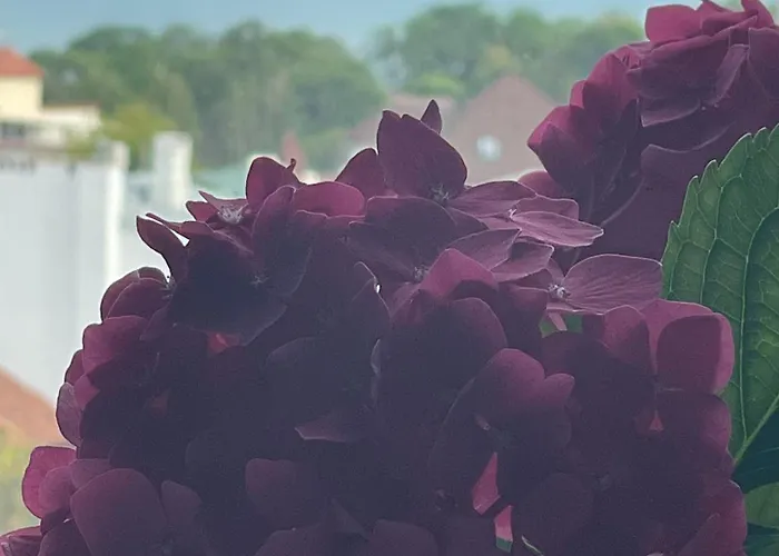 аквамарин Odessa