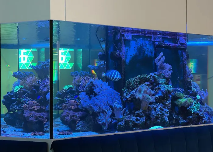 аквамарин Apartment